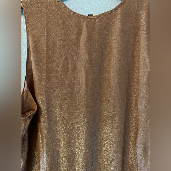 NWT - Skims Shimmer Crew Neck Bodysuit - Picture 3 of 4